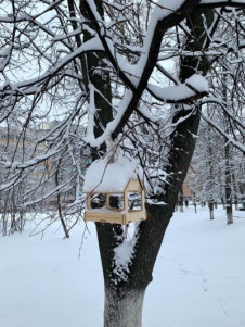 Калужскую область ожидают потепление и снегопады