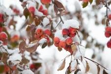 Морозная и снежная погода ожидает калужан на выходных