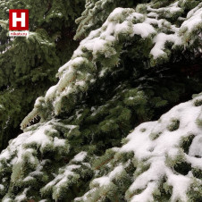 Снег, гололедица и морозы ожидаются на выходных в Калужской области