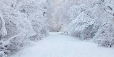 Снегопад в Калуге усилится