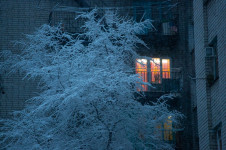 Снегопады в Калуге будут идти всю неделю